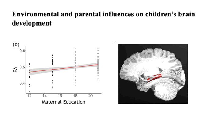My Research | Ola Ozernov-Palchik, PhD